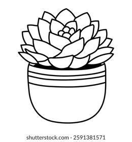 Succulent Doodle Plant in clay pot isolated on white background. Hand drawn simple vector illustration