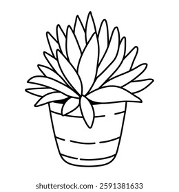 Succulent Doodle Plant in clay pot isolated on white background. Hand drawn simple vector illustration