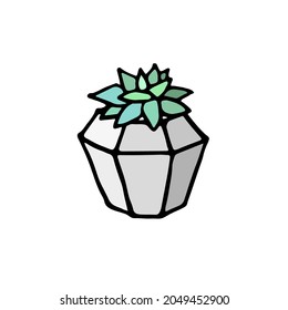 Succulent doodle print. Home plants in modern flowerpot