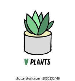 Succulent doodle print. Home plants in modern flowerpot