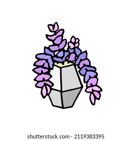 Succulent doodle print. Home plants in modern flowerpot
