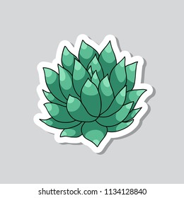 succulent doodle sticker icon