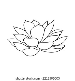 Etveria suculenta en forma de doodle, ilustración vectorial. La mano de flor del desierto dibujada para la impresión y el diseño. Elemento aislado sobre un fondo blanco. contorno de planta doméstica, vista lateral