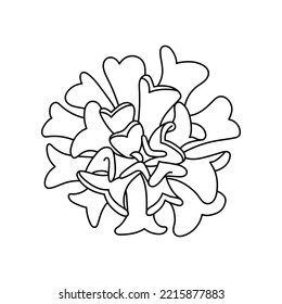 Etveria suculenta en forma de doodle, ilustración vectorial. La mano de flor del desierto dibujada para la impresión y el diseño. Elemento aislado sobre un fondo blanco. contorno de planta doméstica, vista lateral