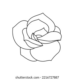 Succulent echeveria in doodle style, vector illustration. Desert flower hand drawn for print and design. Isolated element on a white background. Home plant outline, side view