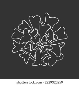 Etveria suculenta en forma de doodle, ilustración vectorial. Flor de desierto para impresión y diseño. Esquema de planta mexicana, elemento gráfico aislado en el fondo de la pizarra. Housplant de decoración