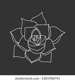 Etveria suculenta en forma de doodle, ilustración vectorial. Flor de desierto para impresión y diseño. Esquema de planta mexicana, elemento gráfico aislado en un fondo de pizarra. Housplant de decoración