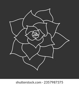 Etveria suculenta en forma de doodle, ilustración vectorial. Flor de desierto para impresión y diseño. Esquema de planta mexicana, elemento gráfico aislado en el fondo de la pizarra. Housplant de decoración