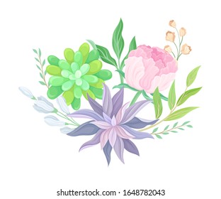 Succulent Echeveria Floral Arrangement Vector Illustration. Natural Cactus Bouquet