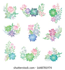 Succulent Echeveria Floral Arrangements Vector Set. Natural Cactus Bouquets Collection