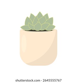 Suculento, echeveria, em pote. Plantas em vasos interiores. Plantas de casa para decoração de interiores. Ilustração vetorial, estilo plano.