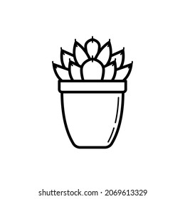 Suculenta everia en el icono de la línea delgada de la olla. Ilustración vectorial moderna de la planta doméstica.