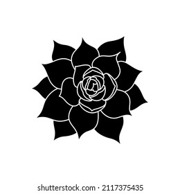 Etveria suculenta en estilo simple, ilustración vectorial. Flor de desierto para impresión y diseño. Planta mexicana de silueta, elemento gráfico aislado sobre fondo blanco. Instalaciones para la decoración