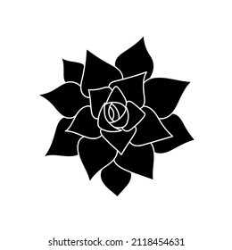 Succulent echeveria in simple style, vector illustration. Desert flower for print and design. Silhouette mexican plant, graphic isolated element on white background. Houseplant for decor interior