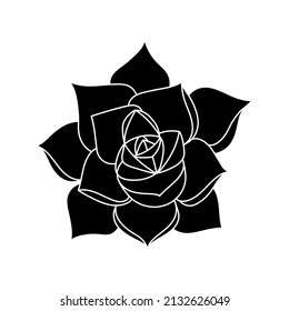 Succulent echeveria in simple style, vector illustration. Desert flower for print and design. Silhouette mexican plant, graphic isolated element on a white background. Houseplant for decor interior