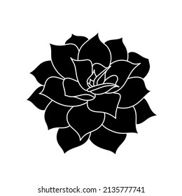 Sukkulente Echeveria im einfachen Stil, Vektorgrafik. Wüstenblume für Druck und Design. Silhouette mexikanische Pflanze, grafisches isoliertes Element auf weißem Hintergrund. Wohnanlage für Dekoration