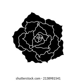 Succulent echeveria in simple style, vector illustration. Desert flower for print and design. Silhouette mexican plant, graphic isolated element on a white background. Houseplant for decor interior