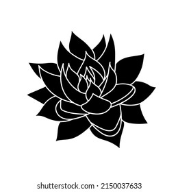 Succulent echeveria in simple style, vector illustration. Desert flower for print and design. Silhouette mexican plant, graphic isolated element on a white background. Houseplant for decor interior