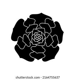Succulent echeveria in simple style, vector illustration. Desert flower for print and design. Silhouette mexican plant, graphic isolated element on a white background. Houseplant for decor interior