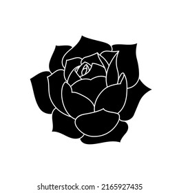 Succulent echeveria in simple style, vector illustration. Desert flower for print and design. Silhouette mexican plant, graphic isolated element on a white background. Houseplant for decor interior