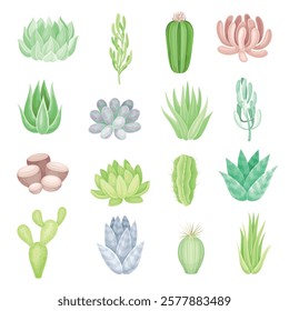 Succulent Fleshy Green Plant and Flora Vector Set