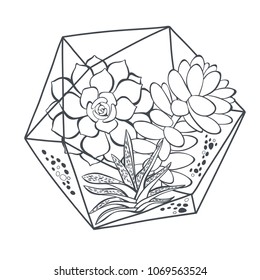 Succulent in florarium. Vector black and white illustration on white background. Isolated composition, element for design.