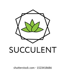 Succulent in florarium. Vector illustration on white background. Isolated composition, element for design.