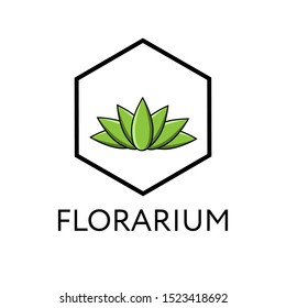 Succulent in florarium. Vector illustration on white background. Isolated composition, element for design.