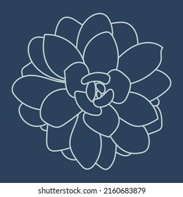 Succulent. Flower In The Desert. Doodle Drawing Succulent. Outline Sketch. Pattern.