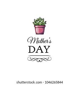 Succulent flower for mother s day card. Vector illustration. Swirls and filigree flourish elements.