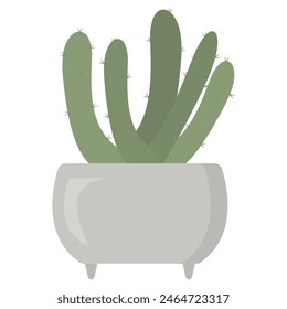Succulent in a flower pot. Green house thorny plant isolated on the white background