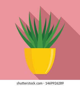Succulent flower pot icon. Flat illustration of succulent flower pot vector icon for web design