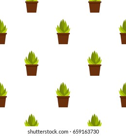 Succulent in flower pot pattern seamless for any design vector illustration