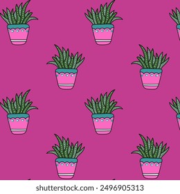 Succulent in flower pots cute pattern background