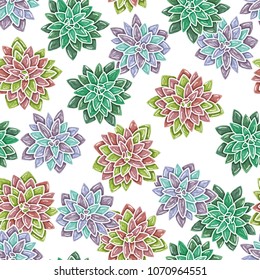 Succulent flower seamless pattern. Colorful echeveria isolated on white background. Vector succulent seamless texture