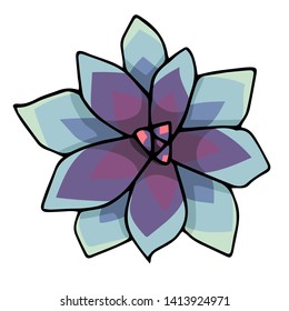 Succulent flower vector illustration. Doodle art top view. Blue and purple Echeveria plant on a white background isolated.