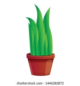 Succulent flowerpot icon. Cartoon of succulent flowerpot vector icon for web design isolated on white background