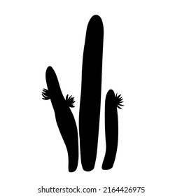Succulent funny cartoon doodle cactus desert plant hand drawn in monochrome black and white vector illustration. Botanical giant trees with thorns, needles.