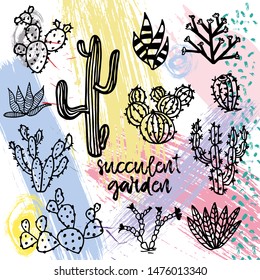Succulent garden. Hand drawn succulent ornament. Ink illustration. A set of cactus - line drawing. Vector illustration of a cactus isolated on a colorful background. Cute hand drawn vector cactus . 
