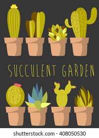 Succulent garden set