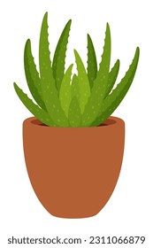 Succulent gasteria in pot. Home or office compact, low-maintenance, drought-tolerant houseplant with striking rosette shape and fleshy leaves displaying unique patterns. Vector Indoor or outdoor decor