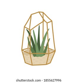 Succulent in golden geometric terrarium, stylish hand drawn home plant in flat doodle style, Scandinavian interior decor. Mexican colorful cactus. Vector illustration isolated on white background. 