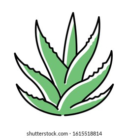 Succulent green color icon. Aloe vera sprouts. Cactus leafs. Growing medicinal herb. Decorative plant. Evergreen flora. Ingredient for organic cosmetic. Isolated vector illustration