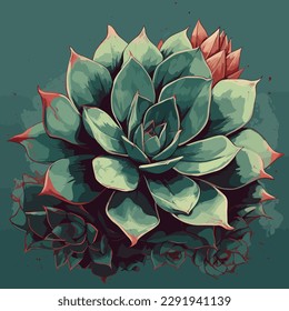 Succulent green echeveria, Lovely Rose, Laui, agavoides. Hand drawn plant Graphic sketch flower