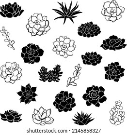 Succulent Hand Drawn Vector Set. Succulent Silhouette And Outline Clipart Vector Collection.