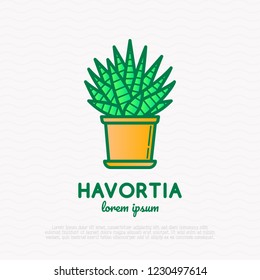 Succulent Haworthia in pot thin line icon. Modern vector illustration of house plant.