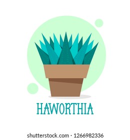 Succulent Haworthia in pot thin line icon. Vector illustration