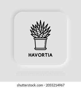 Succulent Haworthia in pot thin line icon. Modern vector illustration of house plant.