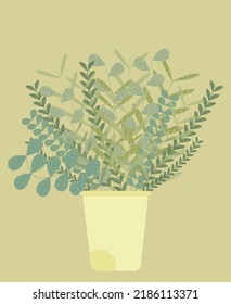 Succulent house plants natural hand drawn drawing organic doodle botany in a pot.