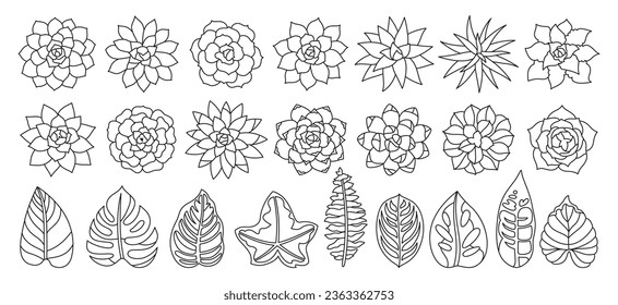 Succulent houseplant cartoon doodle set. Linear home plant urban tropical jungle decor. Succulents hand drawn contour desert flower collection. Floral garden design for invitation, poster vector